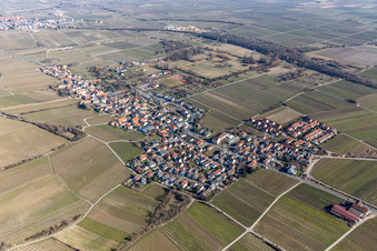 Dorf - Ansicht am Rande von Weinbergen in Forst an der Weinstraße im Bundesland Rheinland-Pfalz, Deutschland