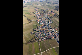 Forst an der Weinstraße aus Süden im Bundesland Rheinland-Pfalz, Deutschland