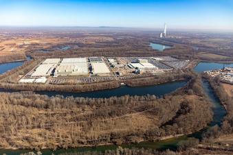 Insel Grün in Germersheim im Bundesland Rheinland-Pfalz, Deutschland von oben