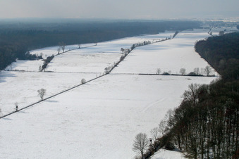 Otterbachtal im Bienwald im Winter bei Schnee in Freckenfeld im Bundesland Rheinland-Pfalz, Deutschland