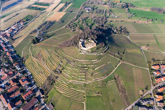 Ruine und Mauerreste der ehemaligen Burganlage Burgruine Staufen auf einem kegelförmigen Weinberg in Staufen im Breisgau im Bundesland Baden-Württemberg, Deutschland