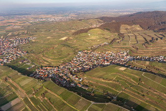 Luftbild von Kiechlinsbergen in Endingen am Kaiserstuhl im Bundesland Baden-Württemberg, Deutschland