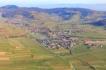 Winzerdorf am Kaiserstuhl aus Westen im Ortsteil Oberrotweil in Vogtsburg im Kaiserstuhl im Bundesland Baden-Württemberg, Deutschland