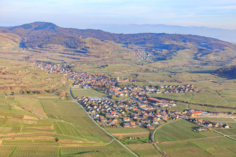 Luftbild von Winzerdorf am Kaiserstuhl aus Westen im Ortsteil Oberrotweil in Vogtsburg im Kaiserstuhl im Bundesland Baden-Württemberg, Deutschland