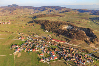 Luftbild von Winzerdorf am Kaiserstuhl aus Nordwesten im Ortsteil Oberrotweil in Vogtsburg im Kaiserstuhl im Bundesland Baden-Württemberg, Deutschland
