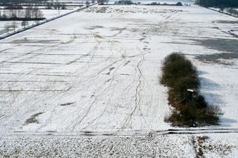 Schafweide Otterbach vor Schaidt in Wörth am Rhein im Bundesland Rheinland-Pfalz, Deutschland