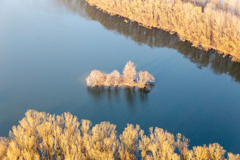 Altrheininsel in Leimersheim im Bundesland Rheinland-Pfalz, Deutschland