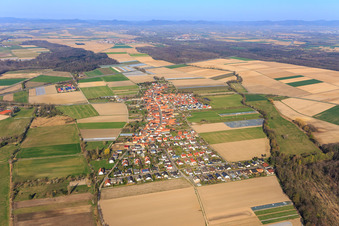 Ortsübersicht aus Osten in Erlenbach bei Kandel im Bundesland Rheinland-Pfalz, Deutschland
