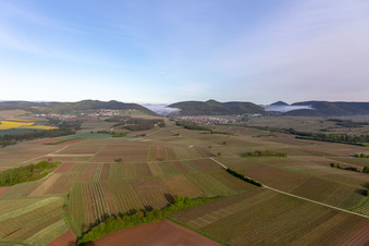 Burg Landeck im Morgennebel in Klingenmünster im Bundesland Rheinland-Pfalz, Deutschland
