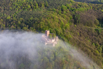 Burg Landeck im Morgennebel in Klingenmünster im Bundesland Rheinland-Pfalz, Deutschland vom Flugzeug aus