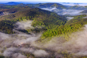 Morgennebel überm Erlenbach in Bad Bergzabern im Bundesland Rheinland-Pfalz, Deutschland