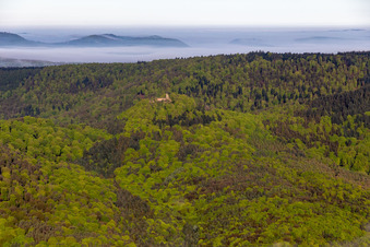 Luftbild von Burgruine Guttenberg in Oberotterbach im Bundesland Rheinland-Pfalz, Deutschland