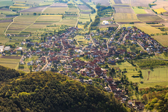 Oberotterbach aus Westen im Bundesland Rheinland-Pfalz, Deutschland