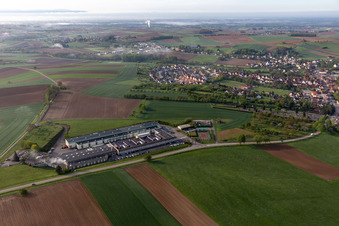 Walter France in Retschwiller im Bundesland Bas-Rhin, Frankreich