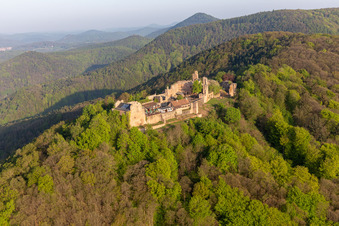 Luftbild von Ruine und Mauerreste der ehemaligen Burganlage Burgruine Madenburg in Eschbach im Bundesland Rheinland-Pfalz, Deutschland