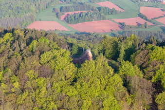 Luftbild von Hohenbergturm in Birkweiler im Bundesland Rheinland-Pfalz, Deutschland