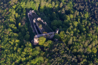 Burgruine Neuscharfeneck in Flemlingen im Bundesland Rheinland-Pfalz, Deutschland aus der Vogelperspektive