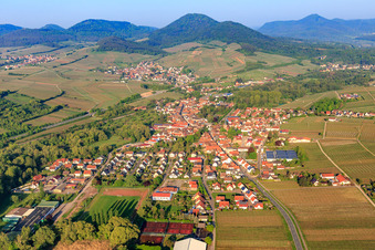 Siebeldingen aus Osten im Bundesland Rheinland-Pfalz, Deutschland