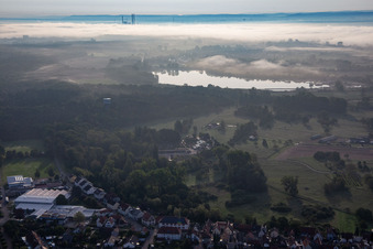 Bienwald Baumschule / Greentec in Berg im Bundesland Rheinland-Pfalz, Deutschland