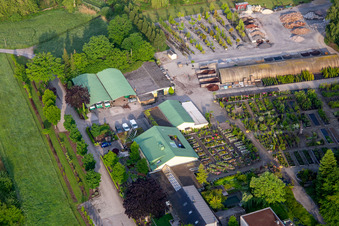 Gebäude und Beete der Bienwald Baumschule, Gärtnerei, Landschaftsgärtner Greentec GmbH in Berg (Pfalz) im Bundesland Rheinland-Pfalz, Deutschland