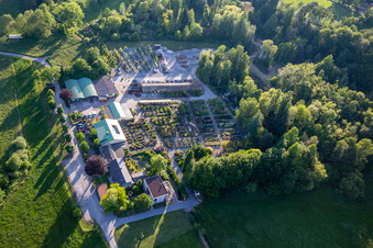 Luftaufnahme von Gebäude und Beete der Bienwald Baumschule, Gärtnerei, Landschaftsgärtner Greentec GmbH in Berg (Pfalz) im Bundesland Rheinland-Pfalz, Deutschland