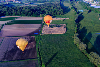 Pfalzgas Zwillingsballone in Steinweiler im Bundesland Rheinland-Pfalz, Deutschland von oben