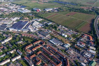 HNorstring mit Der Bäder-Stern, Fritz Walter Eisen- und Sanitärhandel GmbH & Co. KG, MAN Truck & Bus Service Landau und Progroup AG in Landau in der Pfalz im Bundesland Rheinland-Pfalz, Deutschland