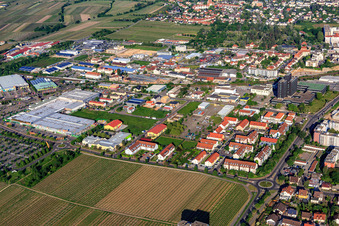 Mennonitenstraße und GLOBUS Neustadt an der Weinstraße im Bundesland Rheinland-Pfalz, Deutschland