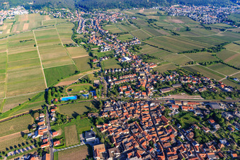 Kurpfalzstraße von Osten im Ortsteil Mußbach in Neustadt an der Weinstraße im Bundesland Rheinland-Pfalz, Deutschland