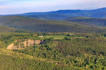 Weingut Odinstal hinterm Basalt-Steinbruch in Wachenheim an der Weinstraße im Bundesland Rheinland-Pfalz, Deutschland