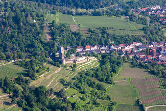 Wachtenburg in Wachenheim an der Weinstraße im Bundesland Rheinland-Pfalz, Deutschland