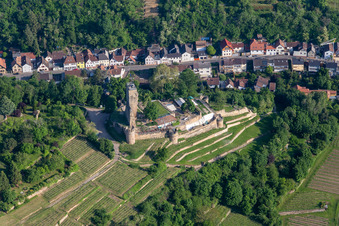 Ehemalige Burganlage Wachtenburg (Ruine "Burg Wachenheim") in Wachenheim an der Weinstraße im Bundesland Rheinland-Pfalz, Deutschland aus der Luft
