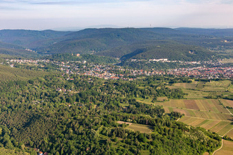 Bad Dürkheim/Seebach