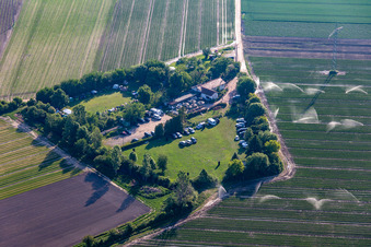 SV OG in Mutterstadt im Bundesland Rheinland-Pfalz, Deutschland