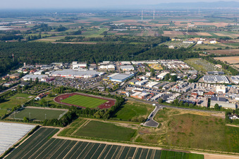 Mutterstadt im Bundesland Rheinland-Pfalz, Deutschland