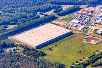 Gewerbegebiet Waldstückerring von Norden mit Halle der Continental Reifen Gmbh und GreenGarden Garten Bau in Bellheim im Bundesland Rheinland-Pfalz, Deutschland