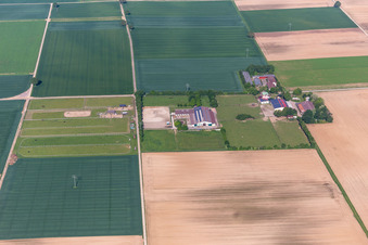 Rosenhof, Eichenhof in Ottersheim bei Landau im Bundesland Rheinland-Pfalz, Deutschland