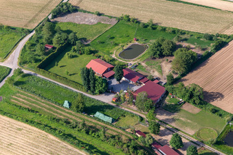 Biotop von Michael Schwager in Herxheim bei Landau im Bundesland Rheinland-Pfalz, Deutschland