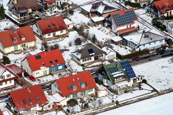 Am Storchengraben im Schnee in Freckenfeld im Bundesland Rheinland-Pfalz, Deutschland