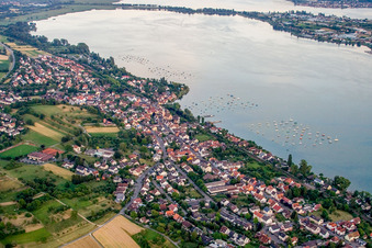Luftaufnahme von Dorfkern an den See- Uferbereichen des Untersee/Bodensee in Allensbach im Bundesland Baden-Württemberg, Deutschland
