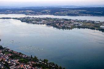 Luftbild von See- Insel Reichenau auf dem Untersee/Bodensee in Reichenau im Ortsteil Mittelzell im Bundesland Baden-Württemberg, Deutschland