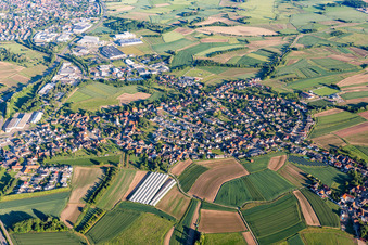 Ortsansicht am Rande von landwirtschaftlichen Feldern und Nutzflächen in Sand in Willstätt im Bundesland Baden-Württemberg, Deutschland