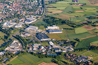 Industrie- und Gewerbegebiet Im Lossenfeld mit Lackmann Fleisch- und Feinkostfabrik GmbH, Philipp Kirsch GmbH, W. Armbruster Teigwarenfabrik GmbH,TBV Kühlfahrzeuge GmbH und ORSAY GmbH in Willstätt im Bundesland Baden-Württemberg, Deutschland
