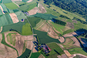 Erlernweg, Helmut Hurst im Ortsteil Legelshurst in Willstätt im Bundesland Baden-Württemberg, Deutschland