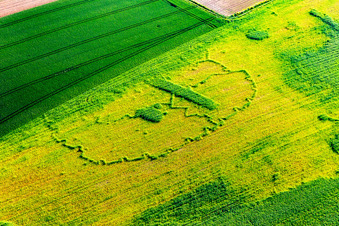 Drohnenbild von Seltz im Bundesland Bas-Rhin, Frankreich