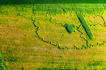 Wintzenbach im Bundesland Bas-Rhin, Frankreich von einer Drohne aus