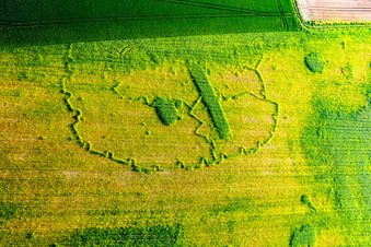 Wintzenbach im Bundesland Bas-Rhin, Frankreich von der Drohne aus gesehen