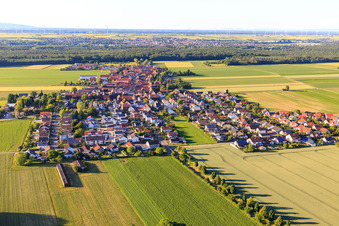 Hayna von Süden in Herxheim bei Landau im Bundesland Rheinland-Pfalz, Deutschland