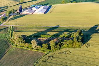 Jüdischer Friedhof in Trimbach im Bundesland Bas-Rhin, Frankreich