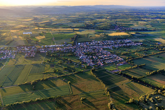 Luftbild von Steinfeld von Süden im Bundesland Rheinland-Pfalz, Deutschland